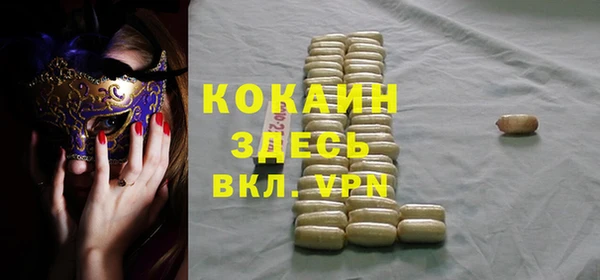 крисы Инта