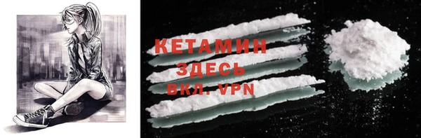 крисы Инта