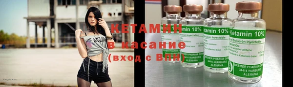 крисы Инта