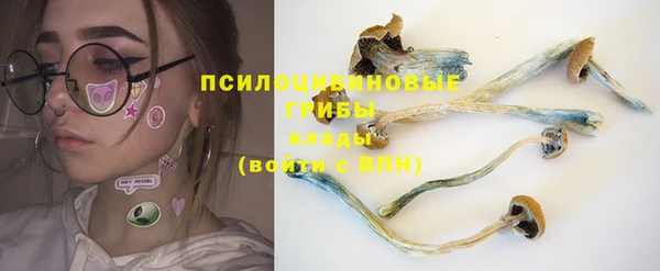 мяу мяу кристалл Инсар