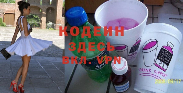 крисы Инта