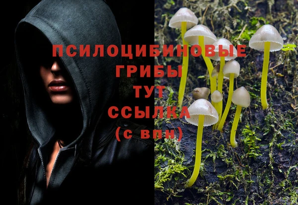 стаф Иннополис