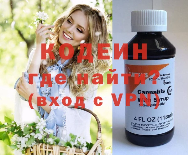 крисы Инта
