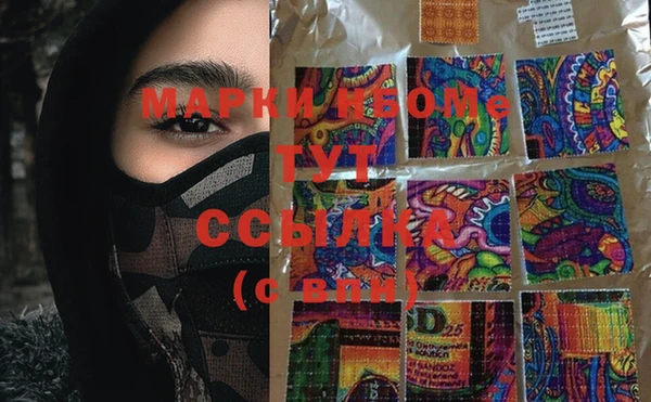 крисы Инта