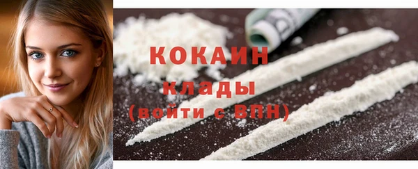 крисы Инта