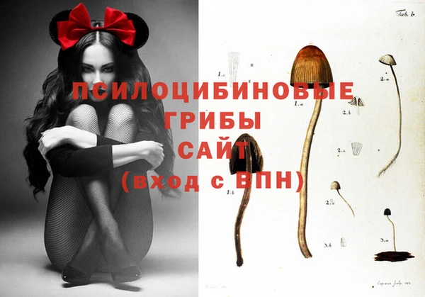 крисы Инта