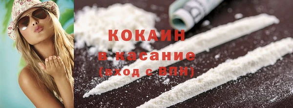 крисы Инта