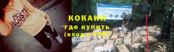 крисы Инта