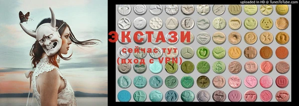 крисы Инта
