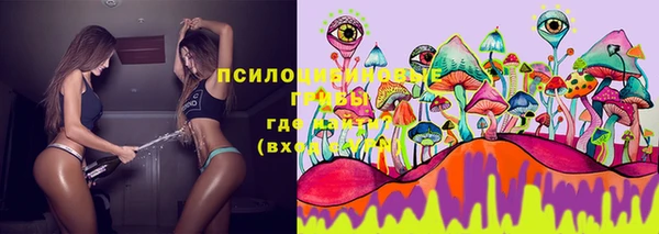 мяу мяу кристалл Инсар